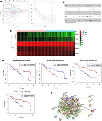 Prognostic analysis of m6A-related genes as potential biomarkers in idiopathic pulmonary fibrosis